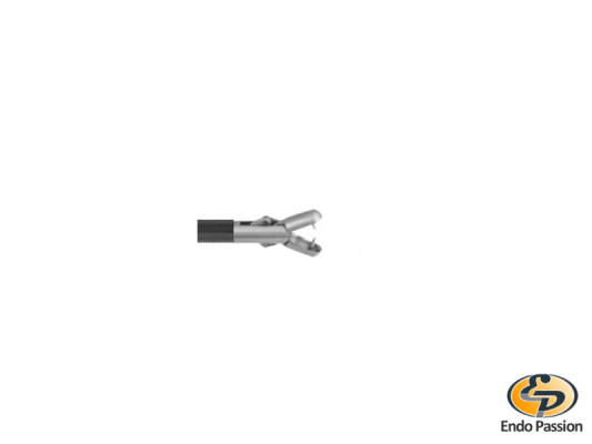 Biopsy grasping forceps with 2 spikes, double action